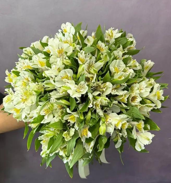 Bunch of alstroemerias | ծաղիկներ, ծաղկեպսակներ, բույսեր Երևան