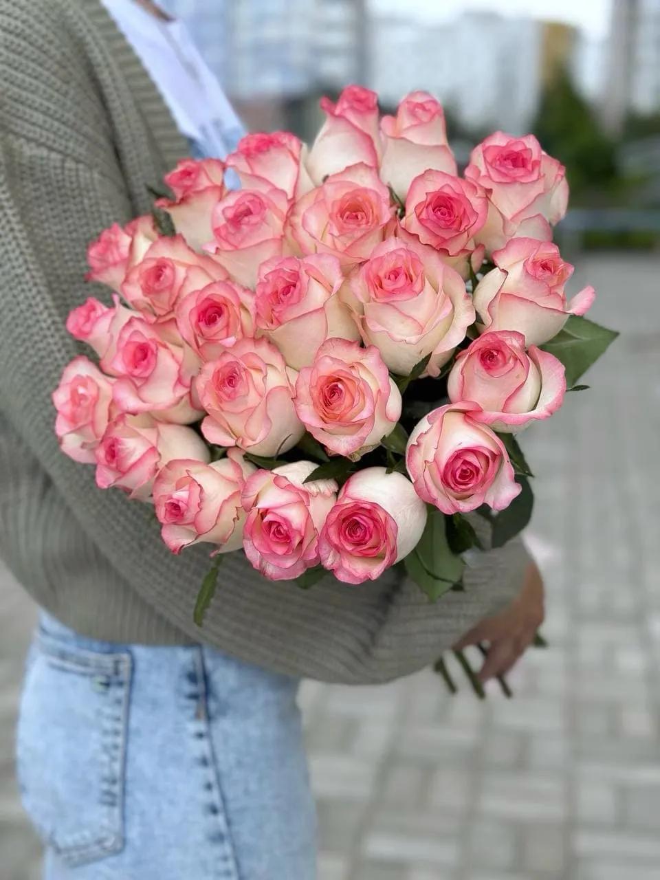 Dutch roses | ծաղիկներ, ծաղկեպսակներ, բույսեր - առաքում Երևան