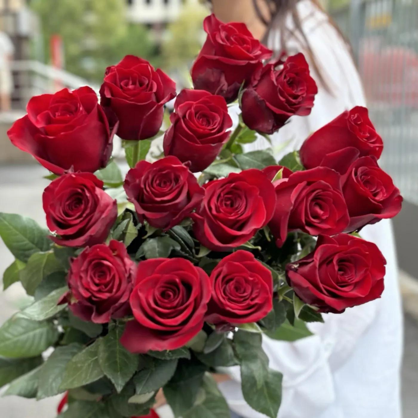 Dutch burgundy roses | ծաղիկներ, ծաղկեպսակներ, բույսեր - առաքում Երևան