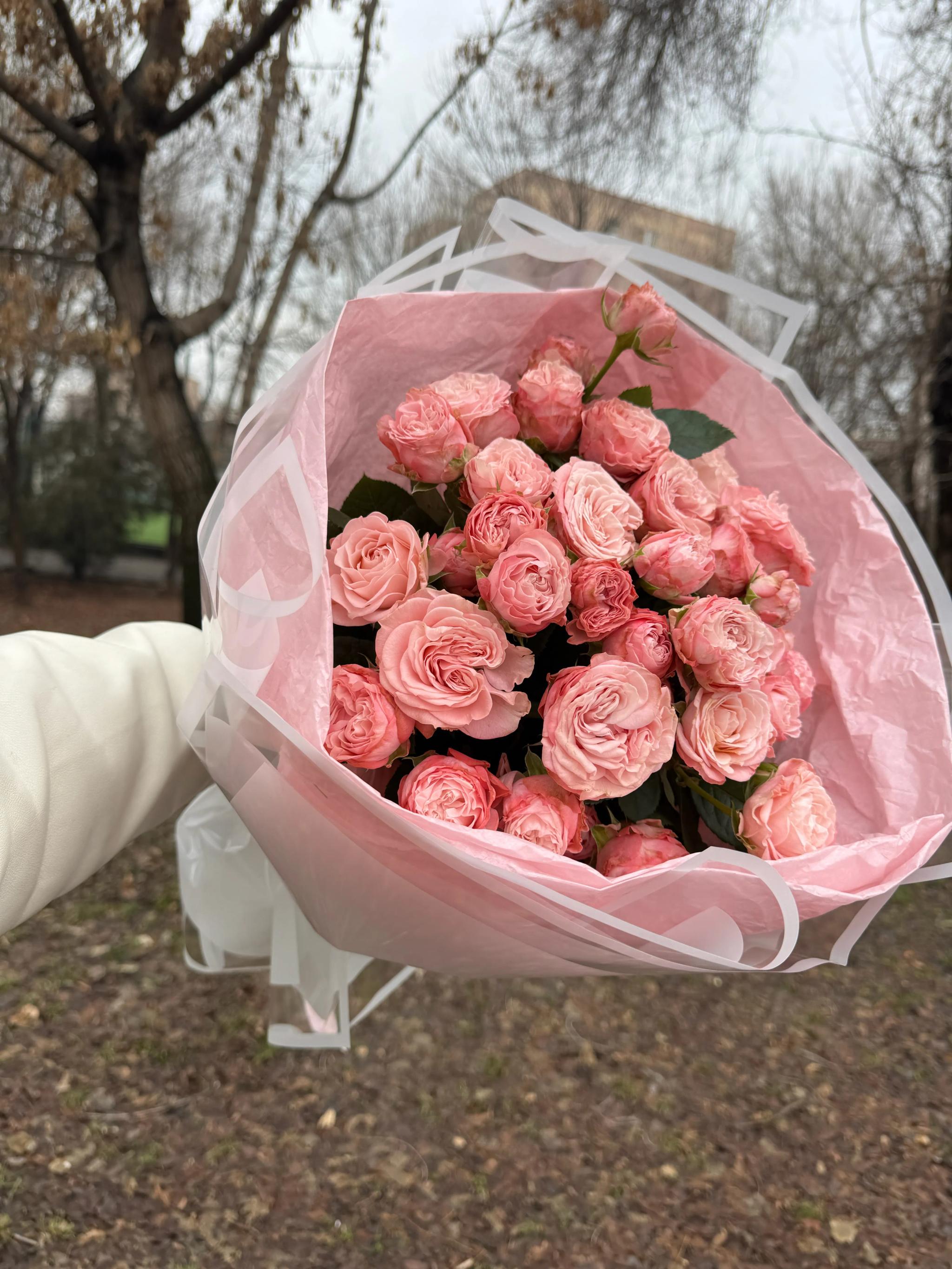 Peony-like roses | ծաղիկներ, ծաղկեպսակներ, բույսեր Երևան
