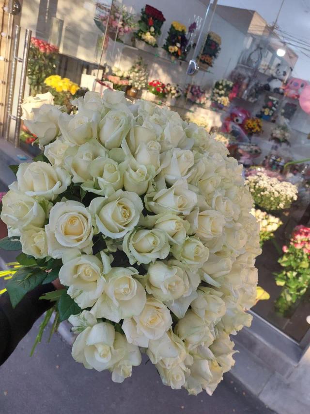 White roses | ծաղիկներ, ծաղկեպսակներ, բույսեր - առաքում Երևան