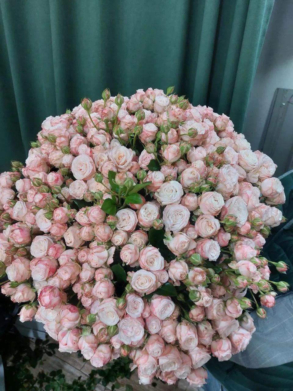 Bunch of roses | ծաղիկներ, ծաղկեպսակներ, բույսեր Երևան