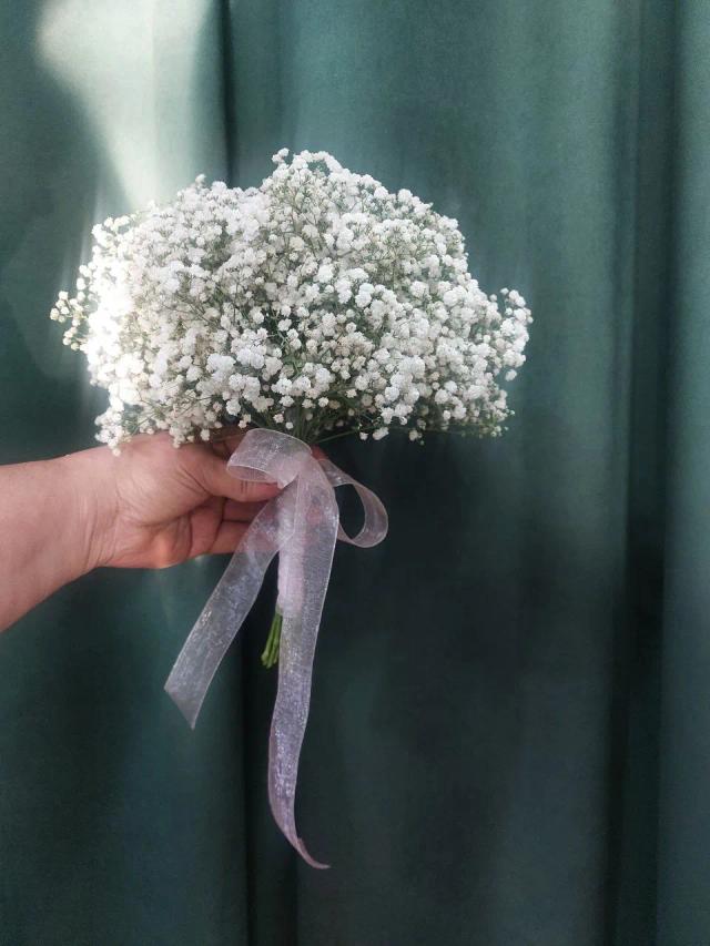 Gypsophilia | ծաղիկներ, ծաղկեպսակներ, բույսեր - առաքում Երևան