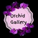 Ծաղկի սրահ Orchid Gallery  | ծաղիկներ, ծաղկեպսակներ