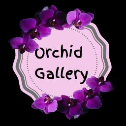 Orchid Gallery  ծաղիկների | ծաղկեպսակների առաքում Երևան