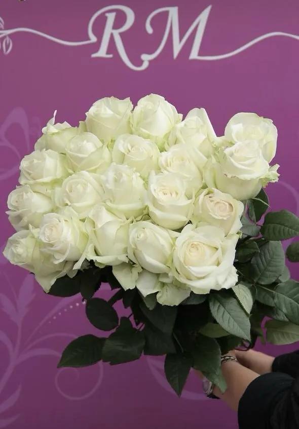 White classic roses | ծաղիկներ, ծաղկեպսակներ, բույսեր Երևան