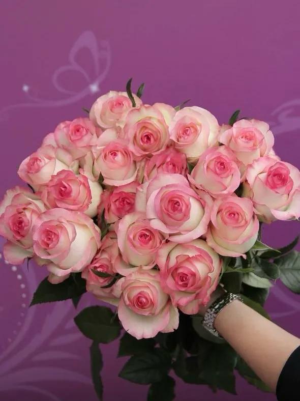 Pink roses | ծաղիկներ, ծաղկեպսակներ, բույսեր Երևան