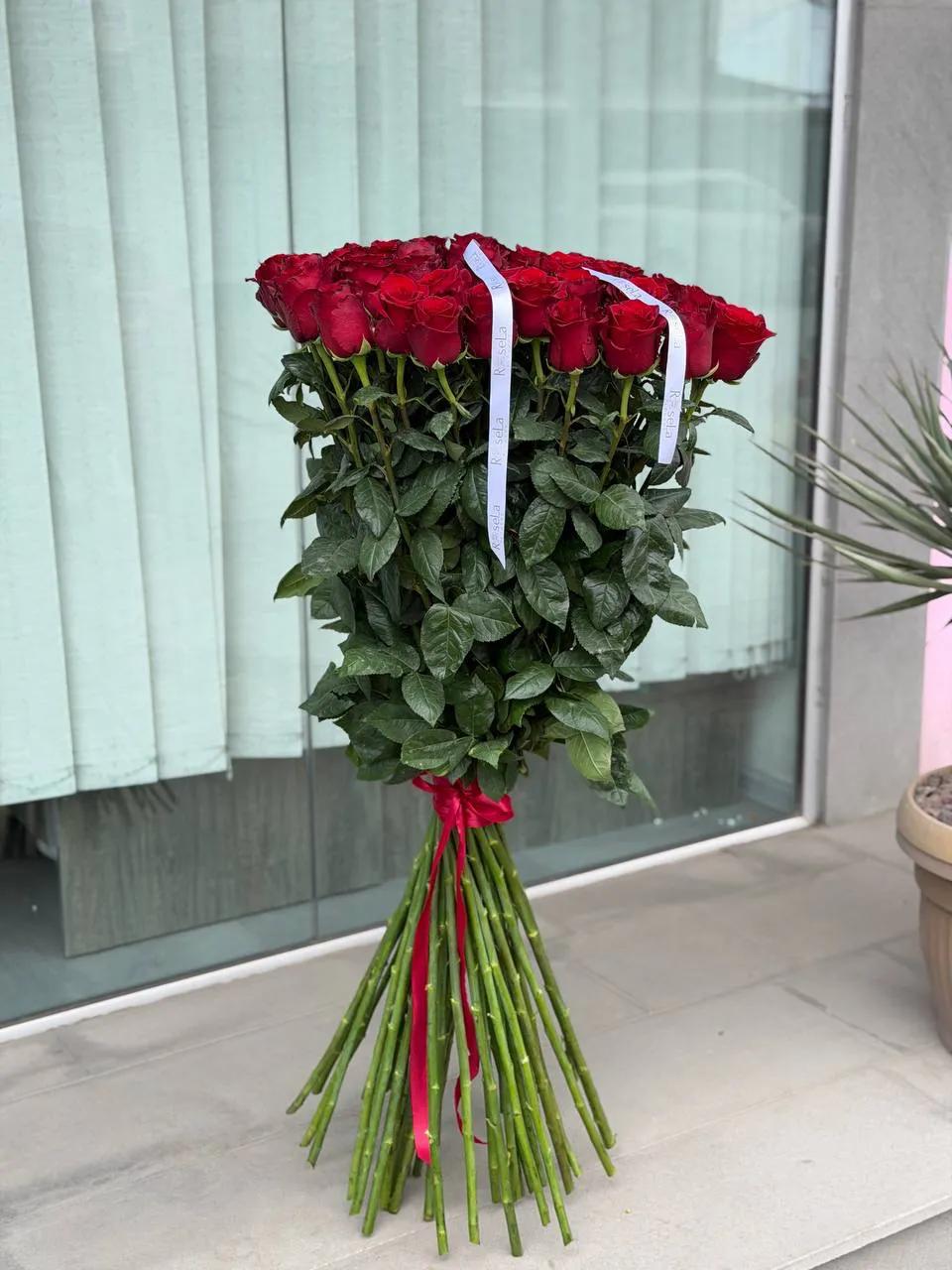 51 կարմիր վարդեր | ծաղիկներ, ծաղկեպսակներ, բույսեր Երևան 51 կարմիր վարդեր | ծաղիկներ, ծաղկեպսակներ, բույսեր Երևան