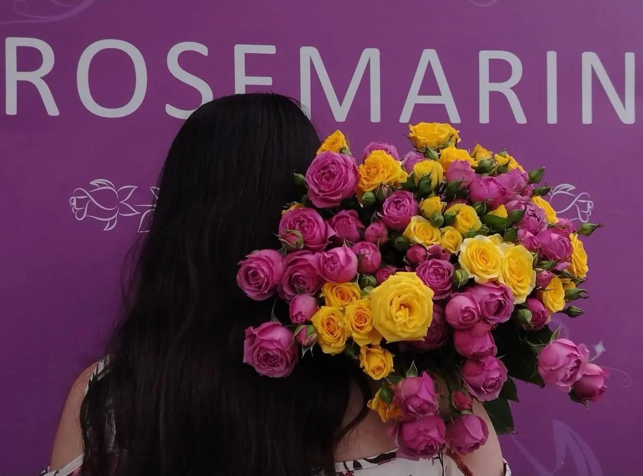 A mix of bouquet and peony roses | ծաղիկներ, ծաղկեպսակներ, բույսեր Երևան A mix of bouquet and peony roses | ծաղիկներ, ծաղկեպսակներ, բույսեր Երևան